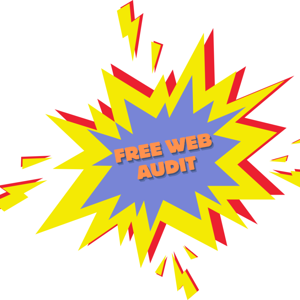 Free Web Audit Flash